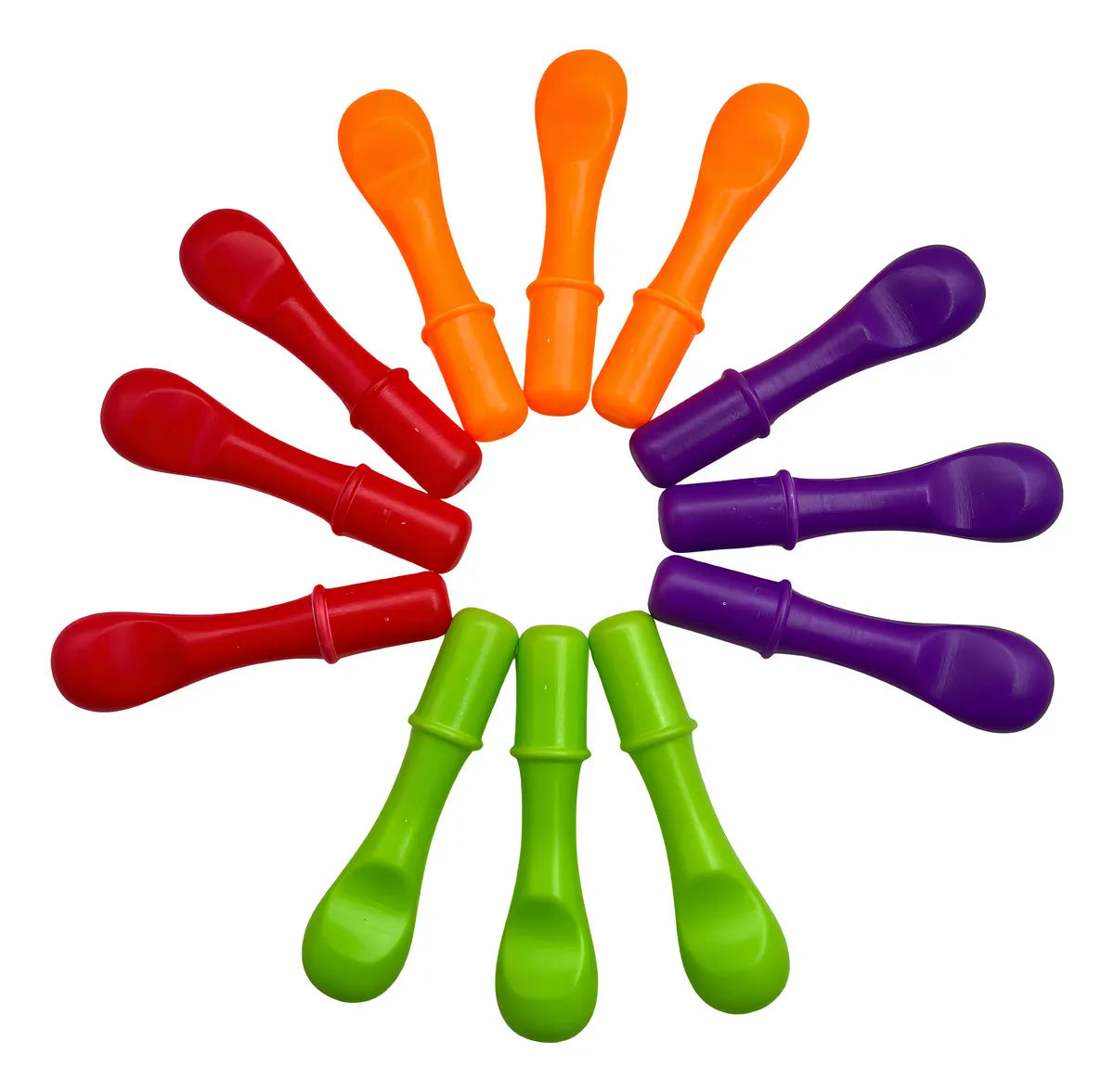 Erizo de Colores